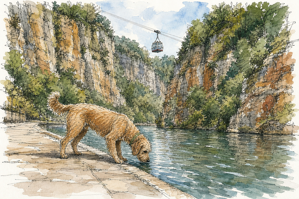 A dog investigating the River Derwent on the Matlock Bath promenade, with steep wooded limestone cliffs rising behind and a cable car ascending toward the Heights of Abraham