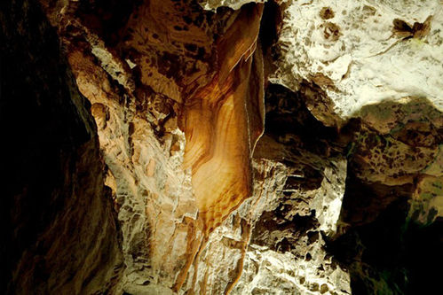 The National Show Caves for Wales Venue / activity