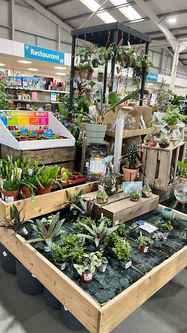 Dunbar Garden Centre Interior