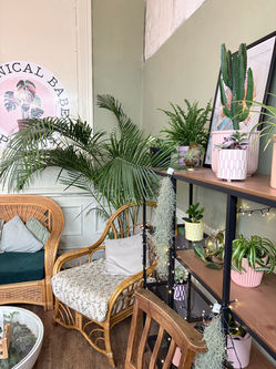 Botanical Babe Plants & Coffee Interior