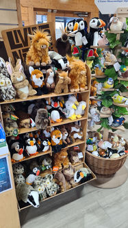 RSPB Conwy Nature Reserve Shop Interior