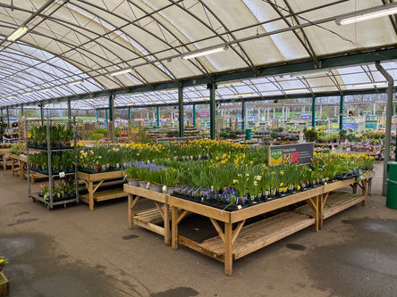 Dobbies Garden Centre Telford Interior