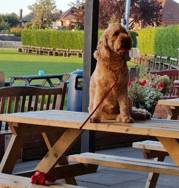 Cleethorpes Cricket Club