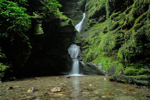 St Nectan's Glen Venue / activity