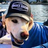 Dog wearing a Docks Beers Grimsby hat on a boat, Cleethorpes, Dog Friendly Cleethorpes