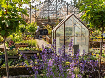 Holden Clough Nurseries Interior