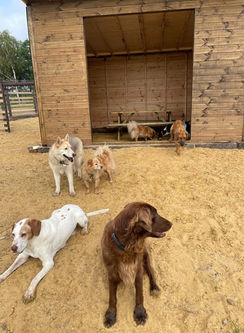 Walcott Dog Park Facility / service area
