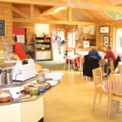 Wooden cafe interior with tables and people dining, relaxed atmosphere, bright room.
