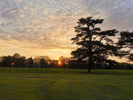 Hardwick Heath Wide venue scene