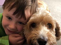 A boy cuddling a perfect cockapoo