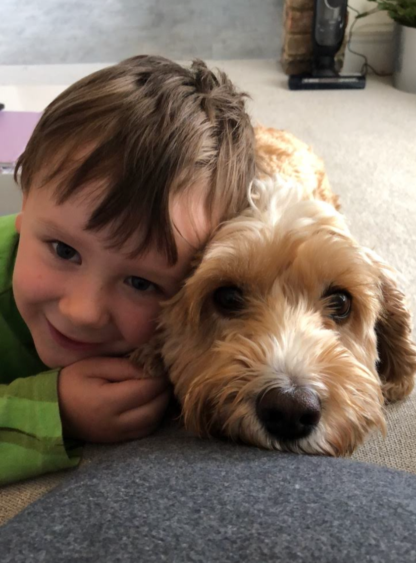A boy cuddling a perfect cockapoo