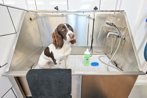 The Dog House Facility / service area