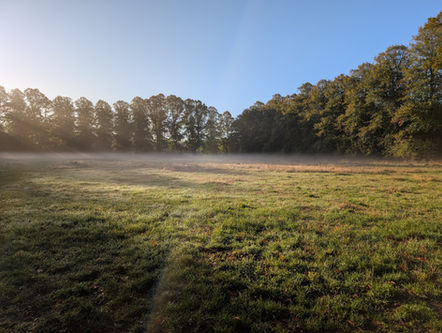 Mousehold Heath Wide venue scene