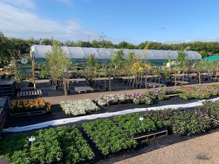 Madley Plants Exterior