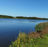 Scenic lake view under a clear blue sky, grassy bank and trees.