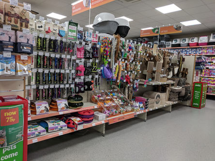 Pets at Home Llandudno Interior