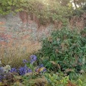 Brick wall with garden and plants in front; blurred background.