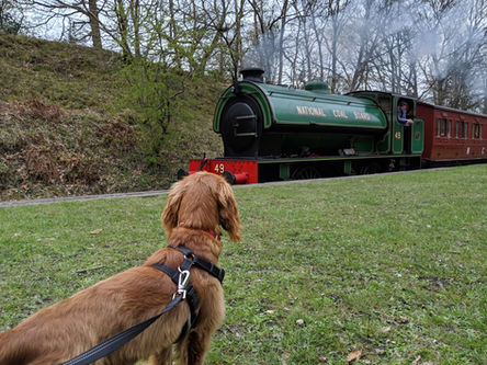Tanfield Railway Facility / service area