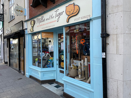 Millie and the Tiger Pet Supplies & Accessories Exterior
