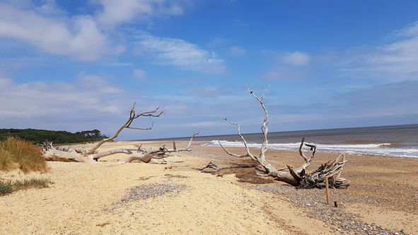 Benacre National Nature Reserve Wide venue scene
