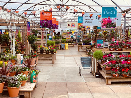 Squire's Garden Centre Washington Interior
