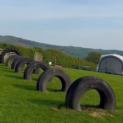 Lakes Canine Academy