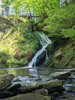 Hafod Estate Wide venue scene