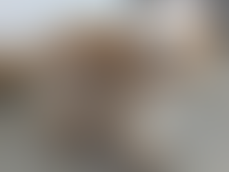 Puppy Teething: Surviving the Landshark (With Your Sanity Intact!)