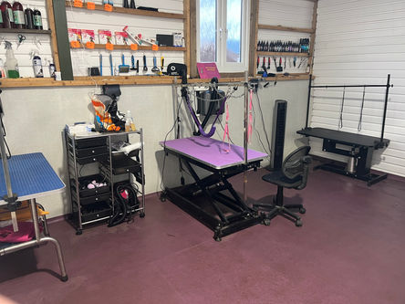 Walkies Blackpool Ltd Facility / service area