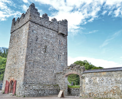Castle Ward Exterior