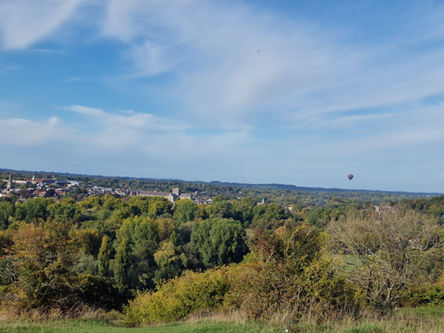 St Catherine's Hill Nature Reserve Wide venue scene