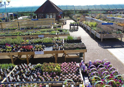 Taverham Nursery Centre Exterior