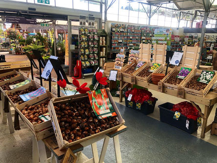 Raglan Garden Centre Interior