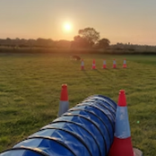 Dog agility course with tunnel and cones during sunset. The Dog Friendly Map.