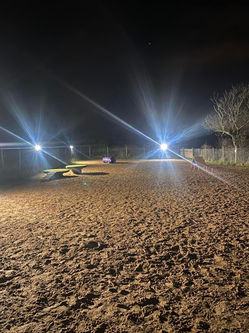 Belvedere Dog Park Dog field / facility