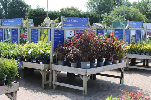Hillier Garden Centre Horsham Exterior