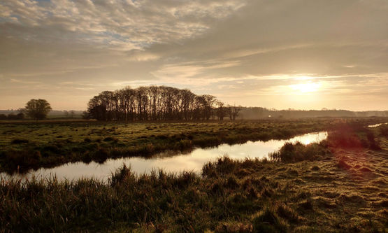 Buckenham Marshes Nature Reserve Venue / activity