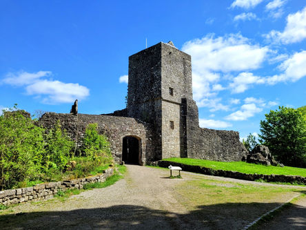 Mugdock Country Park Venue / activity