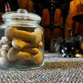 Dog biscuits in a jar, dog sitting on the floor, waiting patiently.