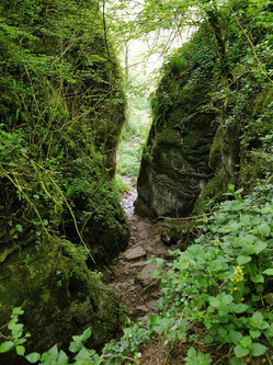 Ebbor Gorge Venue / activity