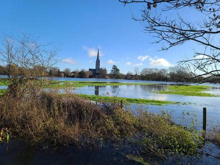 Harnham Water Meadows Wide venue scene