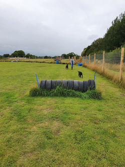 Northumberland Canine Centre Facility / service area