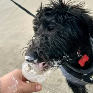 Coral Cafe & Gift Shop