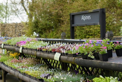 RHS Harlow Carr Garden Centre Exterior