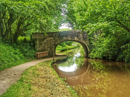 Brecon Basin Venue / activity