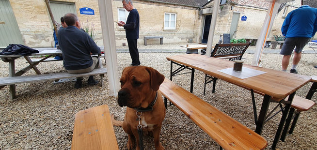 Corinium Ales Brewery & Tap Venue / activity