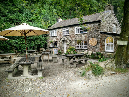 Cardinham Woods Venue / activity