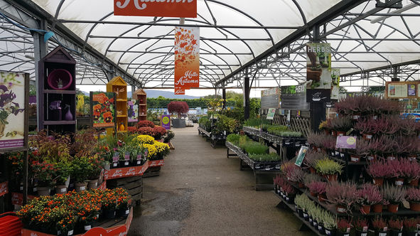 Strikes Garden Centre, Stokesley Interior