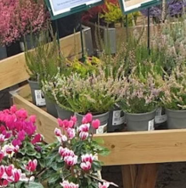 Worcester Garden Centre