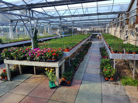 Manorbier Garden Centre Interior